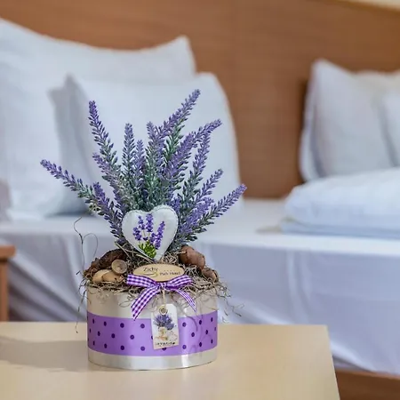 Zichy Park Hotel 4*