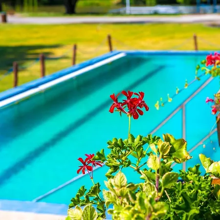 Hotel Zichy Park