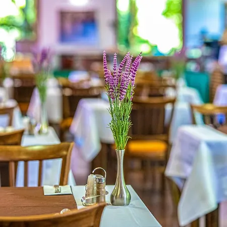 Zichy Park Hotel