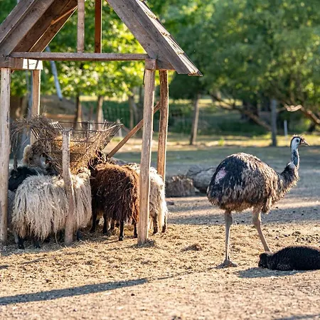 Zichy Park 4*